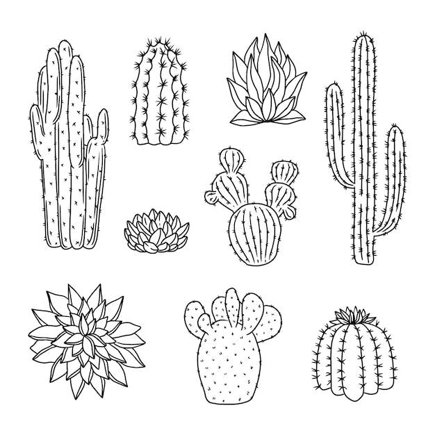 Free vector hand drawn cactus outline illustration