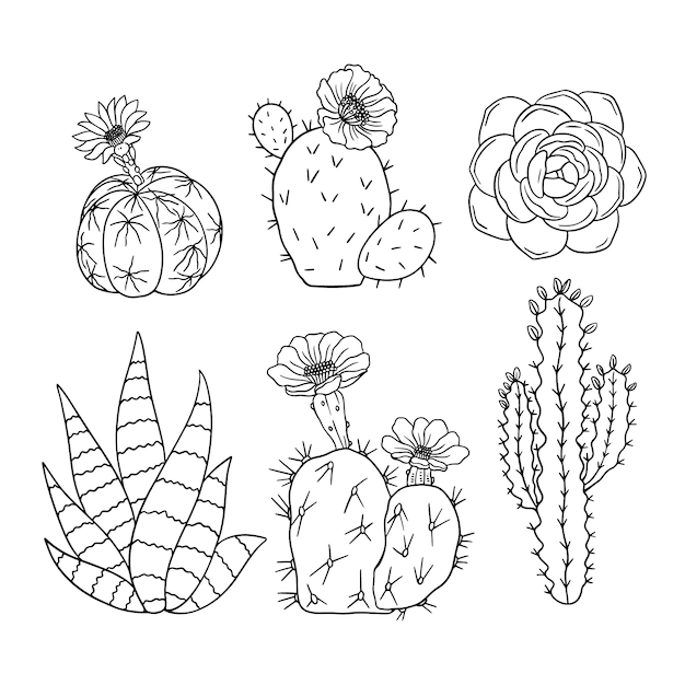 Free vector hand drawn cactus outline illustration