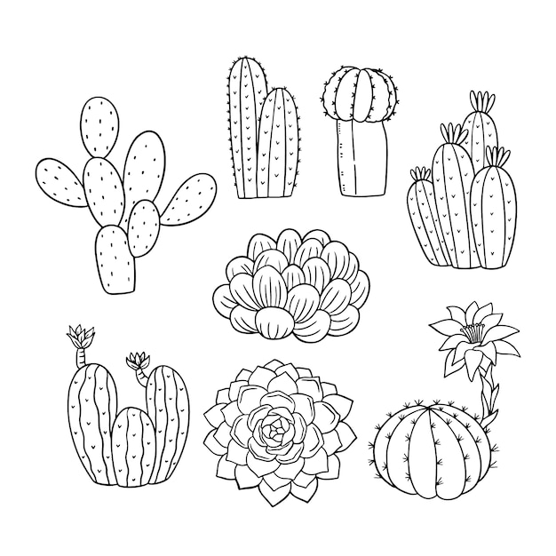 Free Vector hand drawn cactus outline illustration