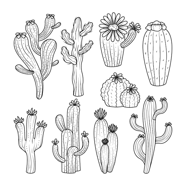 Free vector hand drawn cactus outline illustration