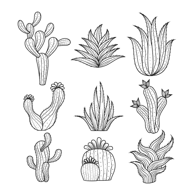 Free vector hand drawn cactus outline illustration