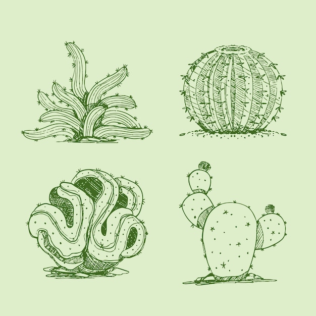 Free Vector hand drawn cactus outline illustration