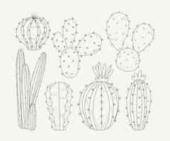 Free vector hand drawn cactus outline illustration