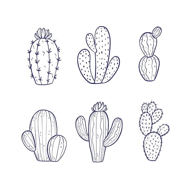 Free Vector hand drawn cactus outline illustration