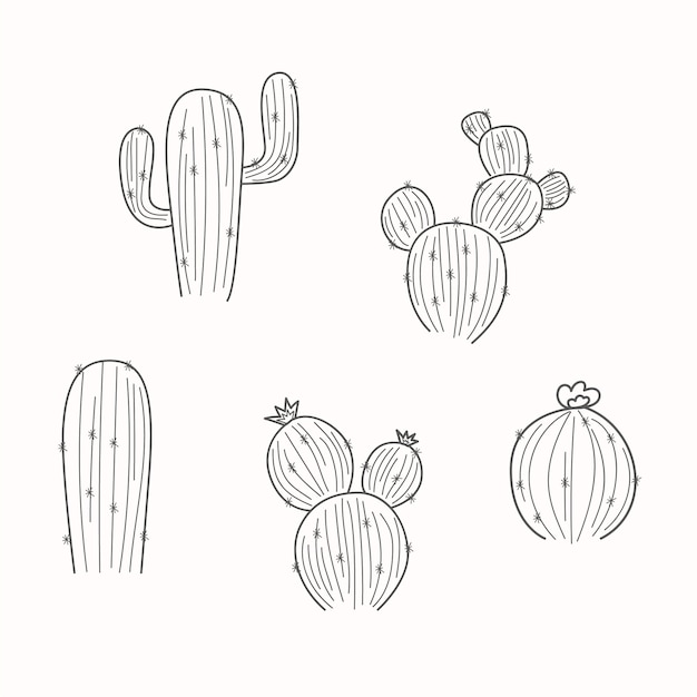 Free Vector hand drawn cactus outline illustration