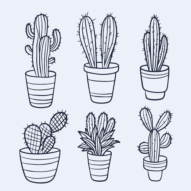 Free vector hand drawn cactus outline illustration