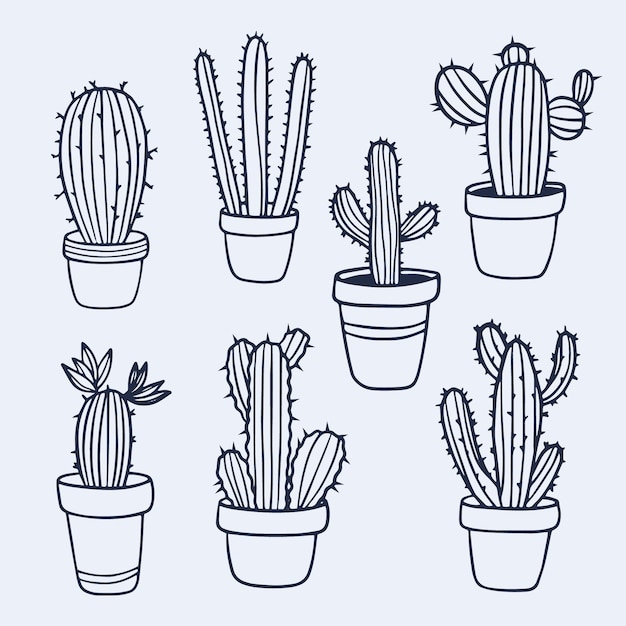 Hand drawn cactus outline illustration