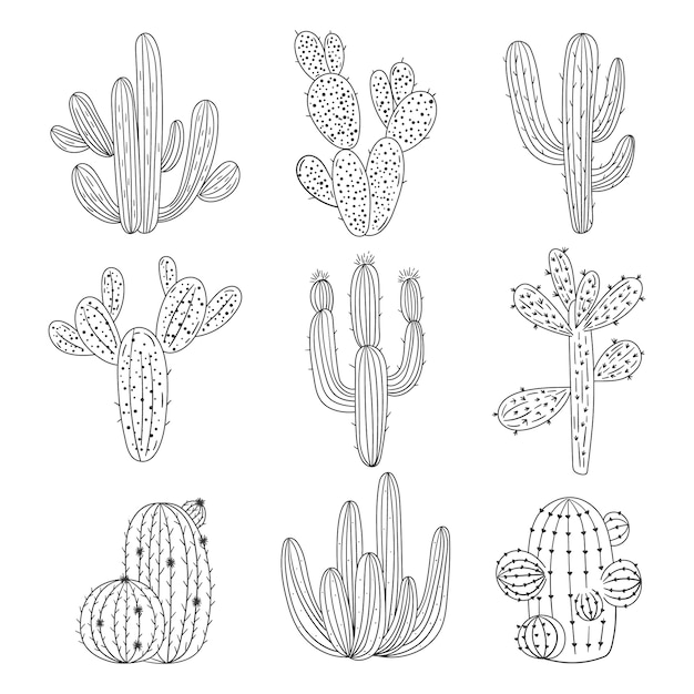 Hand drawn cactus outline illustration