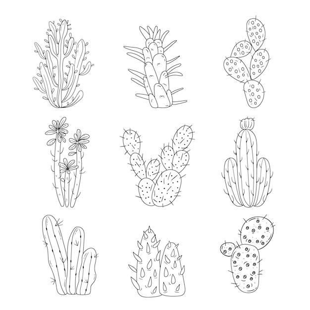 Free vector hand drawn cactus outline illustration