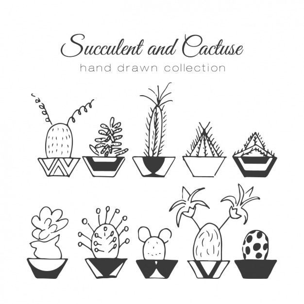 Free Vector hand drawn cactus with pot collection