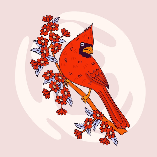 Free Vector hand drawn cardinal bird illustration