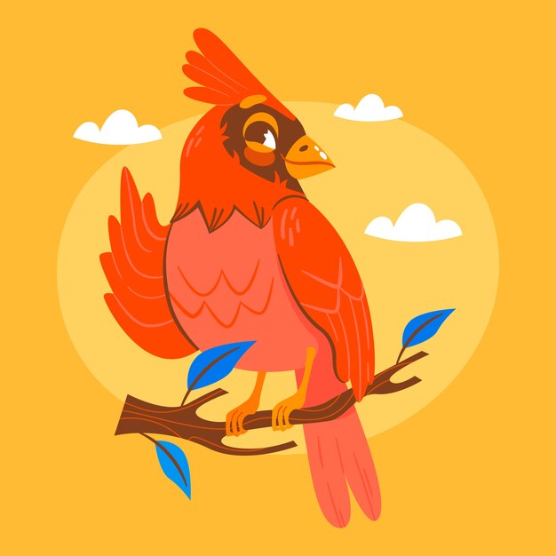 Hand drawn cardinal cartoon illustration