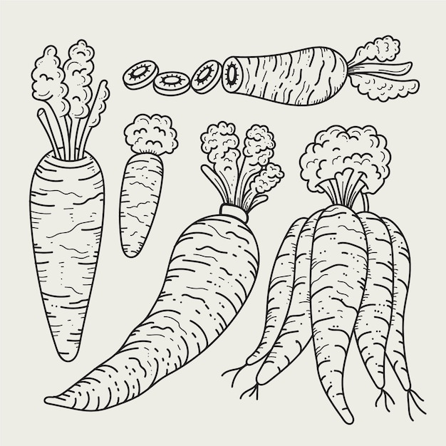 Free vector hand drawn carrot outline illustration