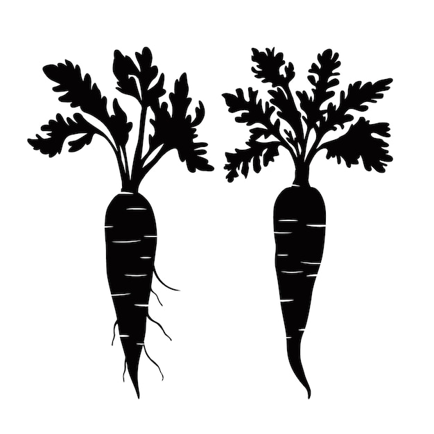 Hand drawn carrot silhouette