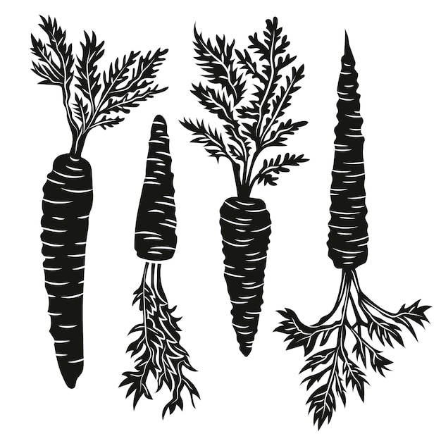 Free Vector hand drawn carrot silhouette