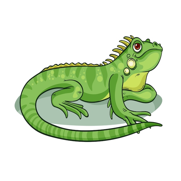 Hand drawn cartoon iguana illustration