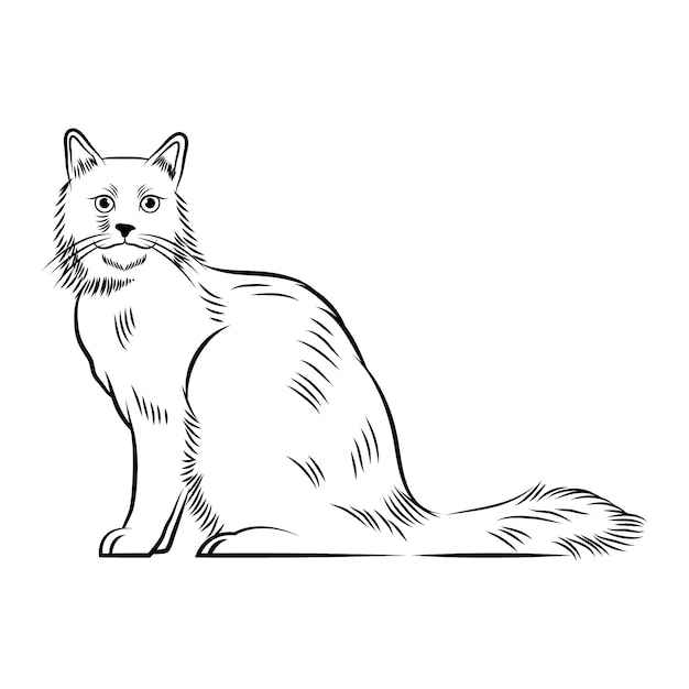 Free vector hand drawn cat outline illustration