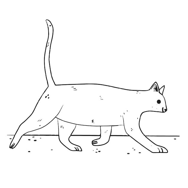 Hand drawn cat outline illustration