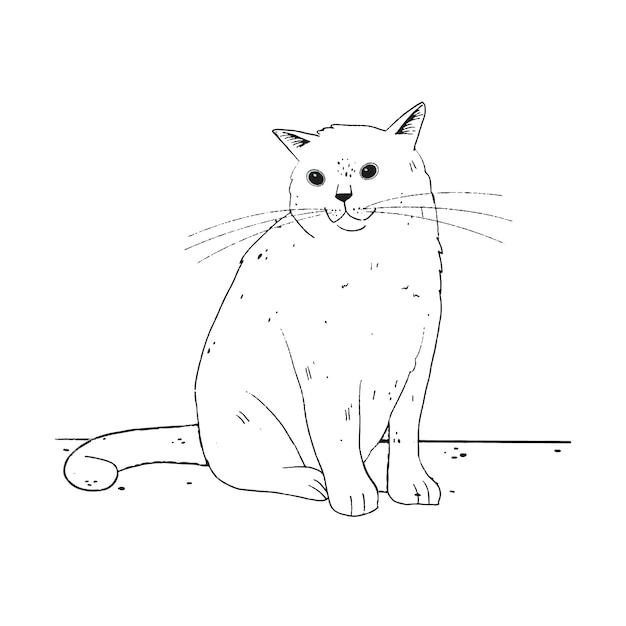 Hand drawn cat outline illustration