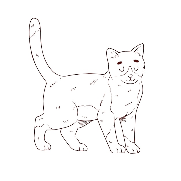 Hand drawn cat outline illustration