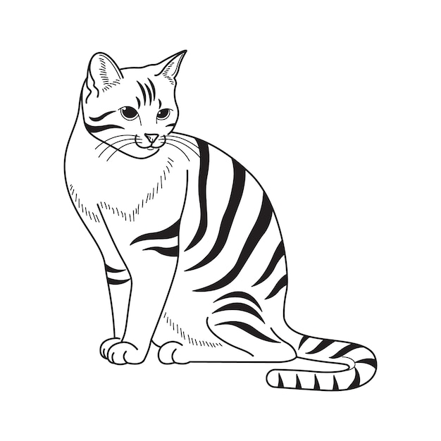 Hand drawn cat outline illustration