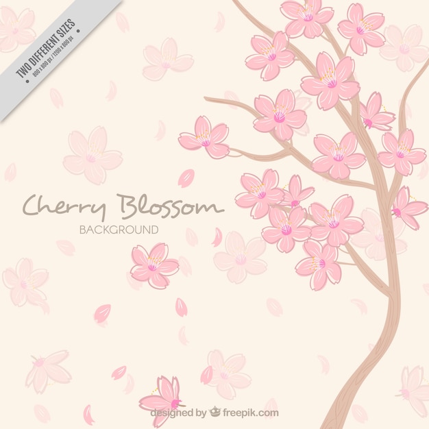 Free vector hand-drawn cherry blossom background