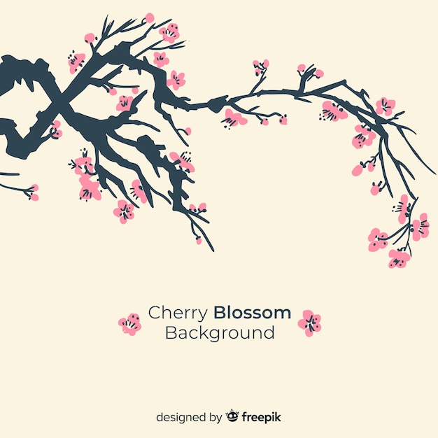 Free Vector hand drawn cherry blossom background