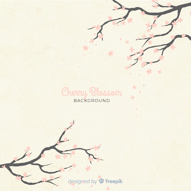 Hand drawn cherry blossom background