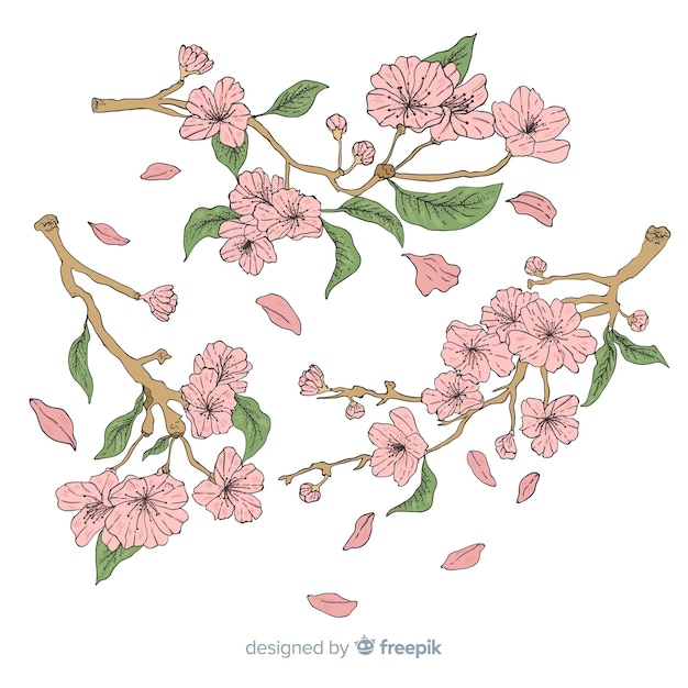 Hand drawn cherry blossom background