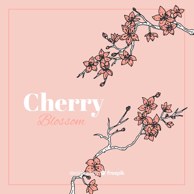 Free Vector hand drawn cherry blossom background