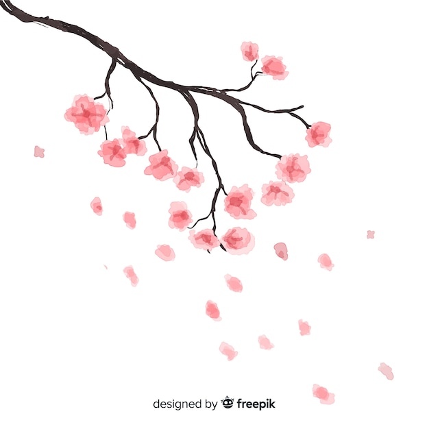 Free vector hand drawn cherry blossom background