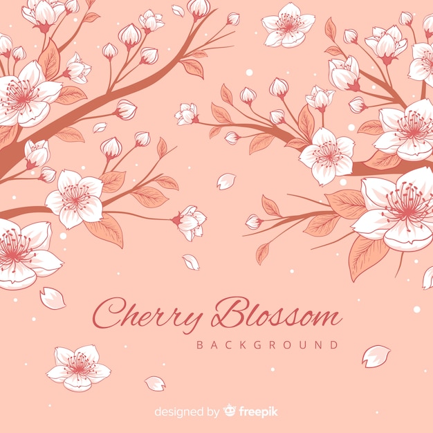 Free Vector hand drawn cherry blossom background