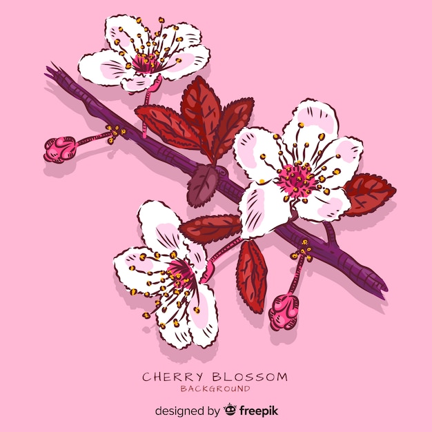 Free Vector hand drawn cherry blossom background