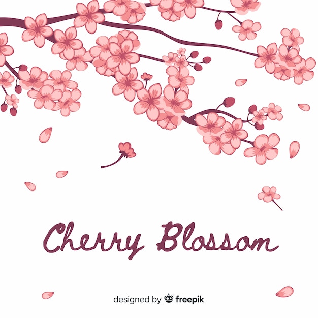 Hand drawn cherry blossom background