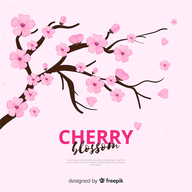 Hand drawn cherry blossom branch background