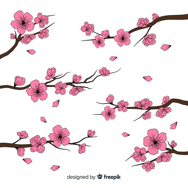 Hand drawn cherry blossom branch background