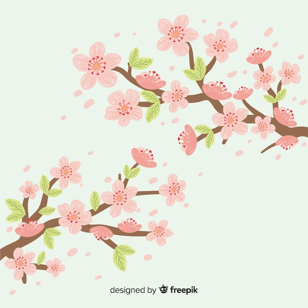 Hand drawn cherry blossom branch background