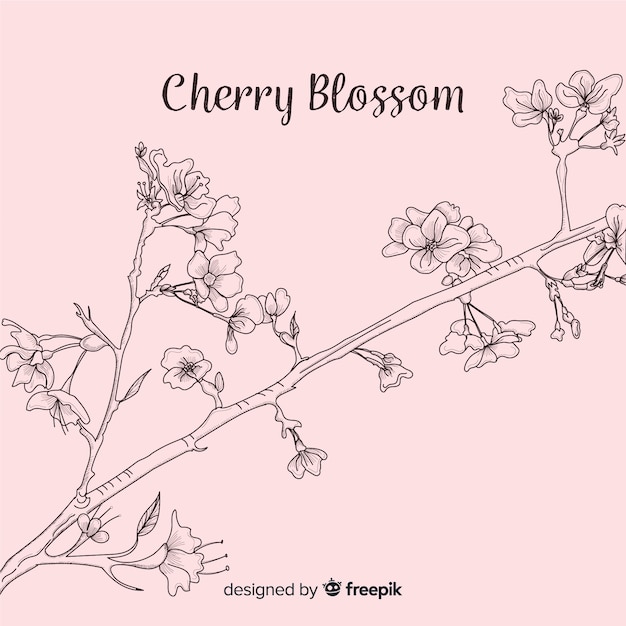 Free Vector hand drawn cherry blossom branch background