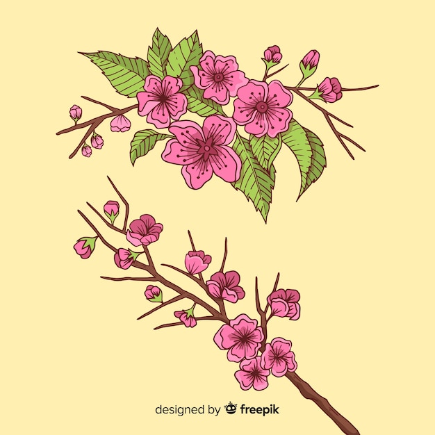 Hand drawn cherry blossom branch