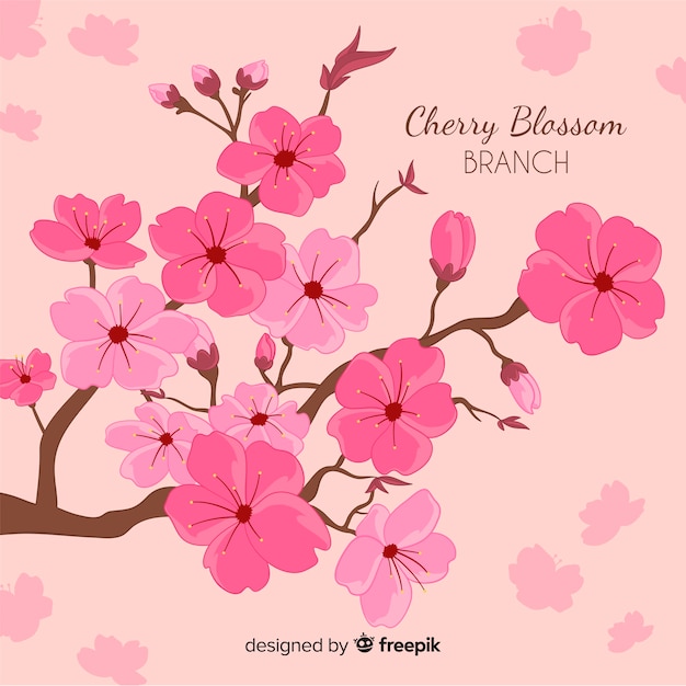 Hand drawn cherry blossom branch