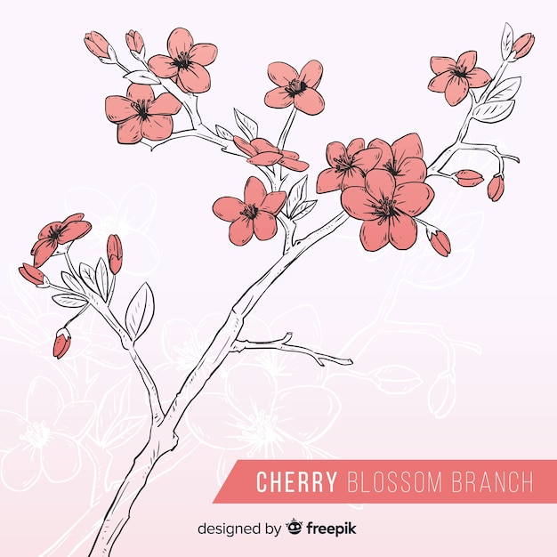 Free vector hand drawn cherry blossom branch