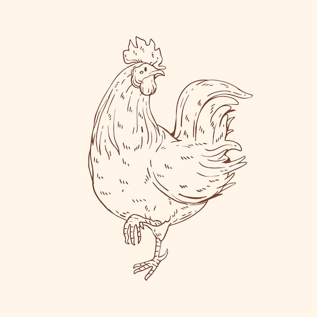 Free vector hand drawn chicken outline illustration