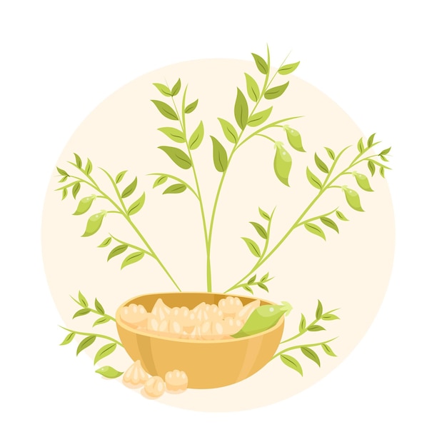 Free vector hand drawn chickpea beans and plants illustration