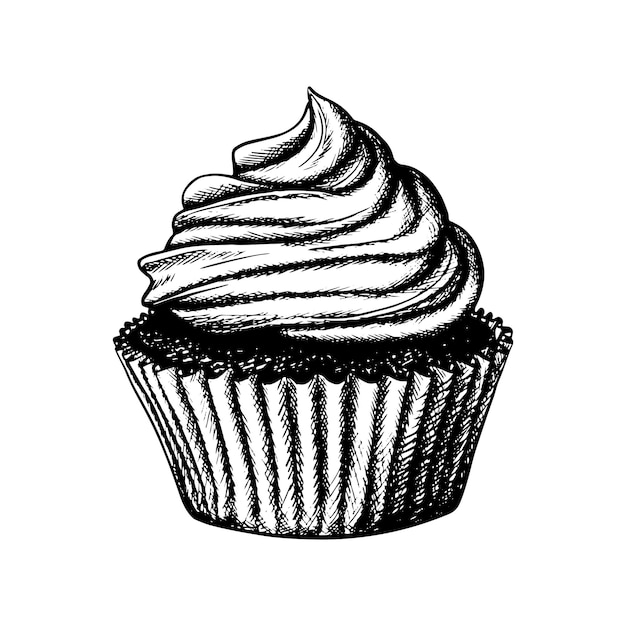 hand drawn Chocolate cupcake