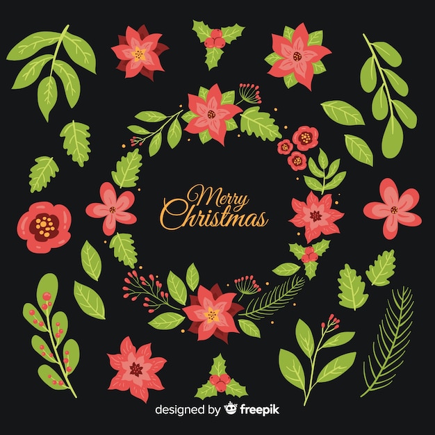 Hand drawn christmas flower  collection