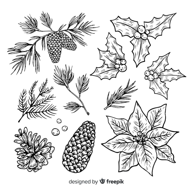 Hand drawn christmas flower and wreath collection