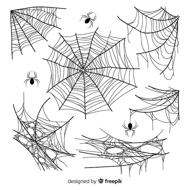 Free Vector hand drawn cobweb collection