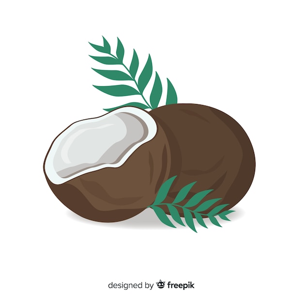 Hand drawn coconut background