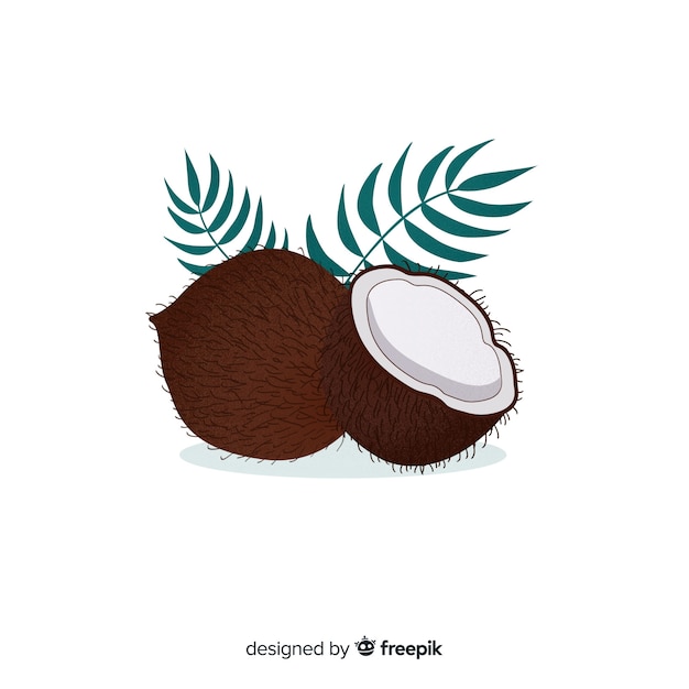 Hand drawn coconut background