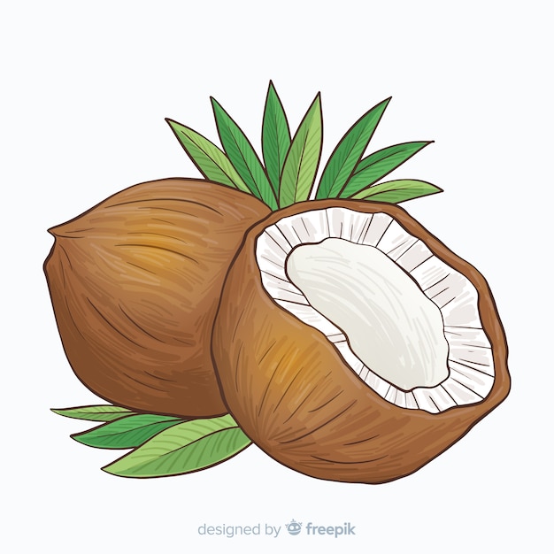 Free Vector hand drawn coconut background